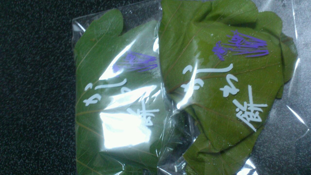 カシワモーチ T A S H I R O C K 第3版